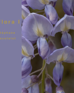 Flora I by stephane loustalot