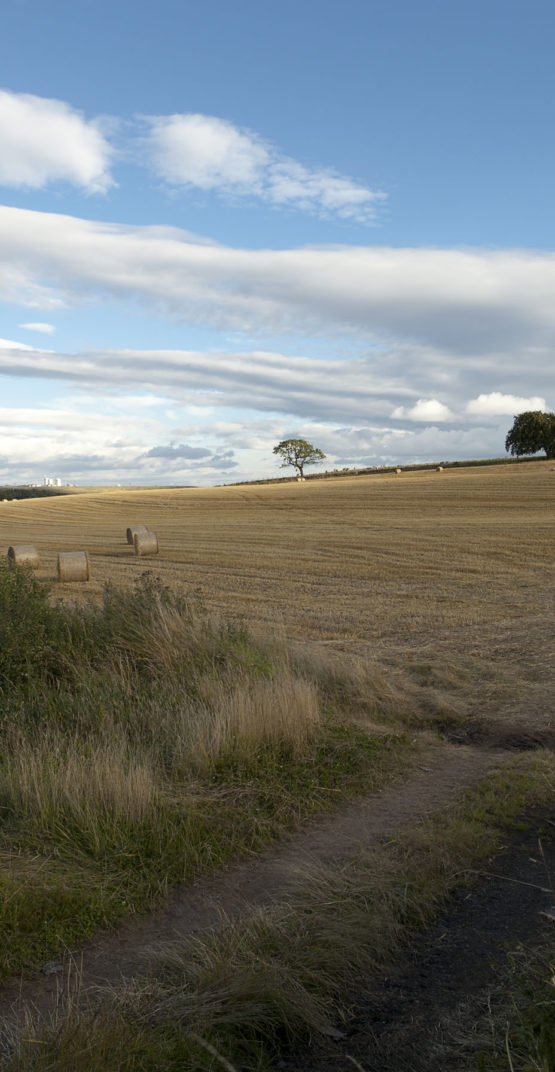 haystacks in field in scotland